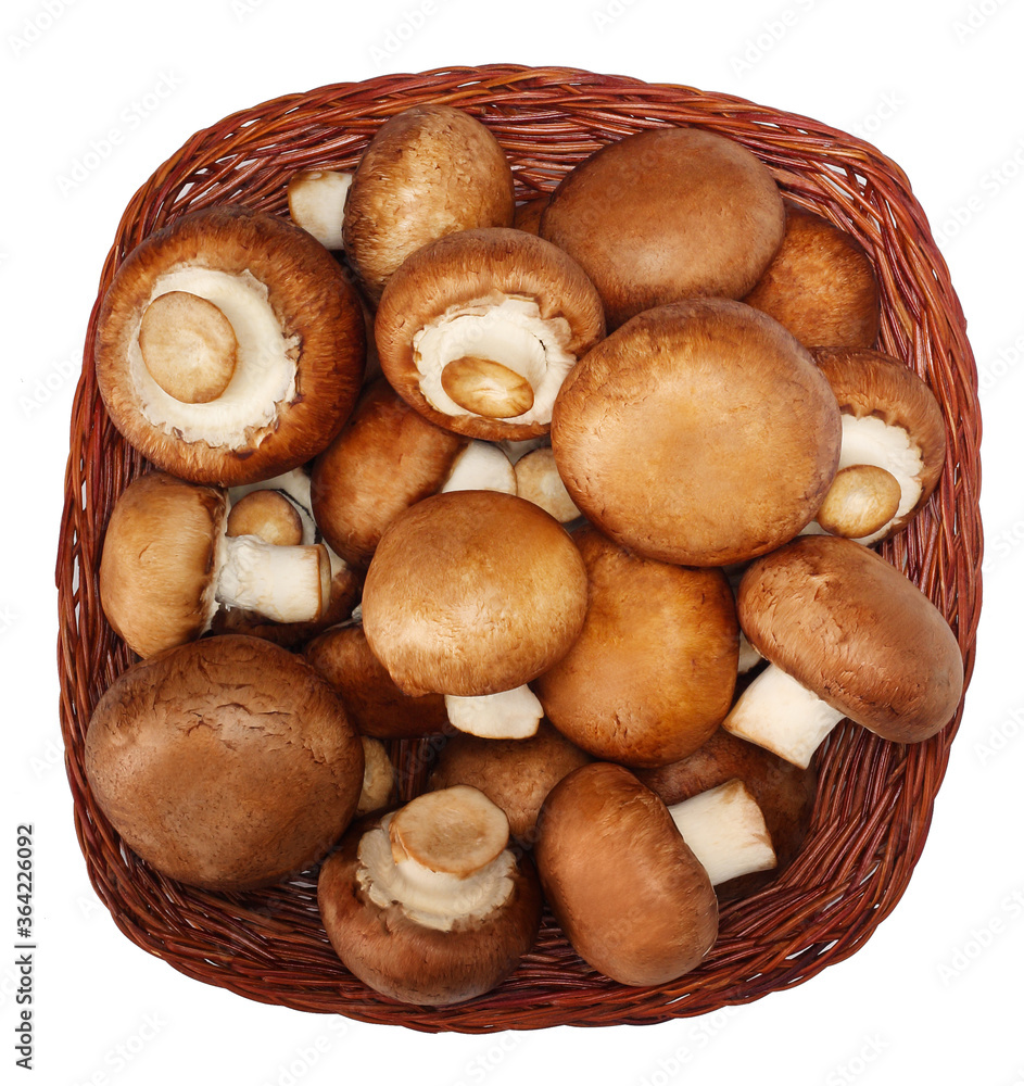 Royal champignon isolated on white background Royal champignon isolated on white background
