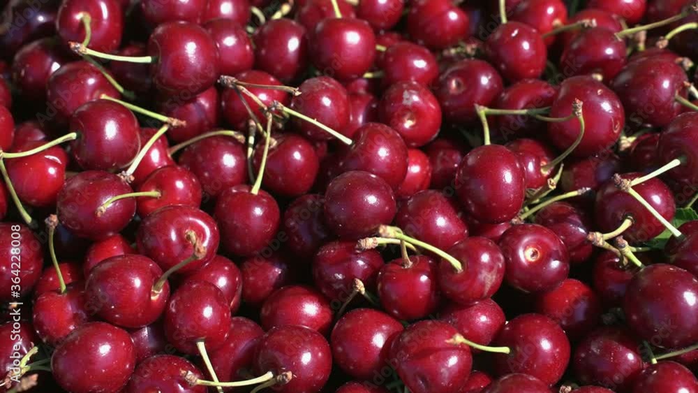 Sweet red cherry. Fresh organic berries closeup. Fruit background Sweet red cherry. Fresh organic berries closeup. Fruit background
