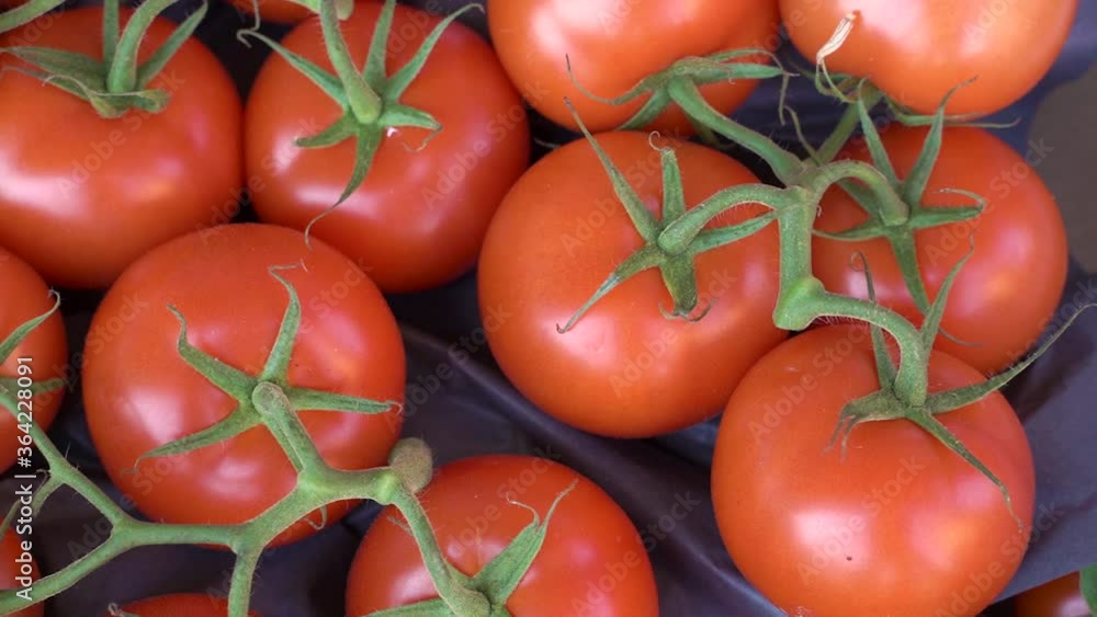 fresh red tomatoes on the vine top view fresh red tomatoes on the vine top view