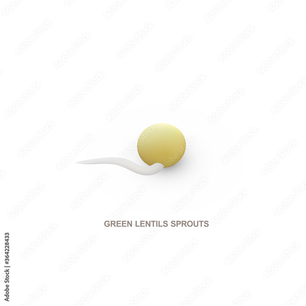 Realistic green lentils sprout for healthy eating. Vector illustration. Realistic green lentils sprout for healthy eating. Vector illustration.