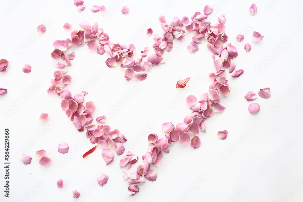 Obraz premium heart rose petals / pink roses, heart-shaped frame petals, love concept