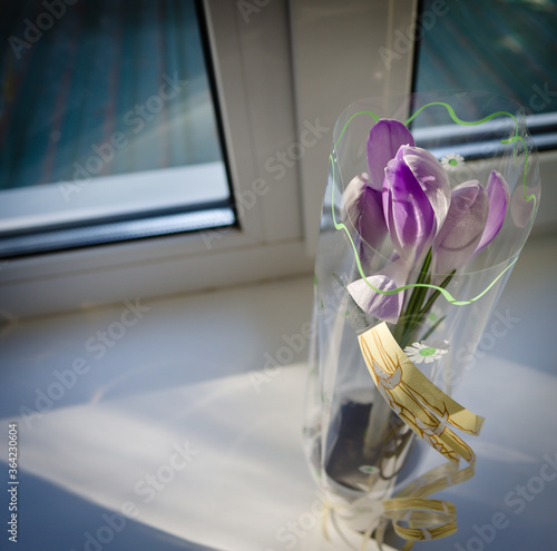 flowers in the window