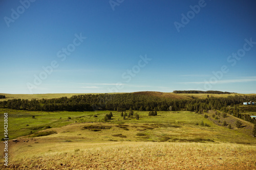 Steppe nature