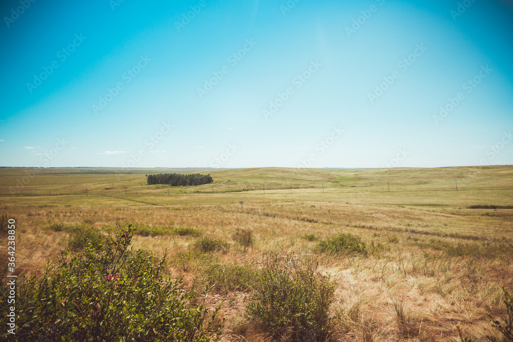 Obraz premium Steppe nature