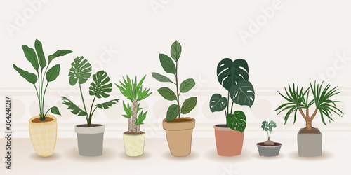 Indoor plants vector, Hand drawing style on wooden shelf, Vector set green plant in the pot.