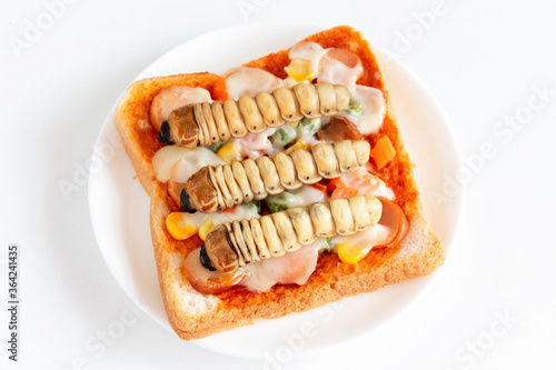 Food Insects: Worm beetle of Scarab Beetle for eating as food items made of cooked insect meat on bread baked sandwich on plate, it is so rich in protein edible and delicious. Entomophagy concept.