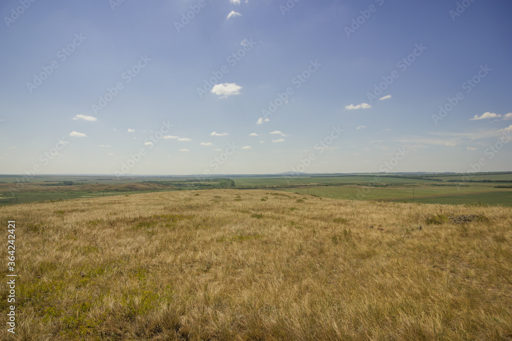 Obraz premium Wilderness wildlife