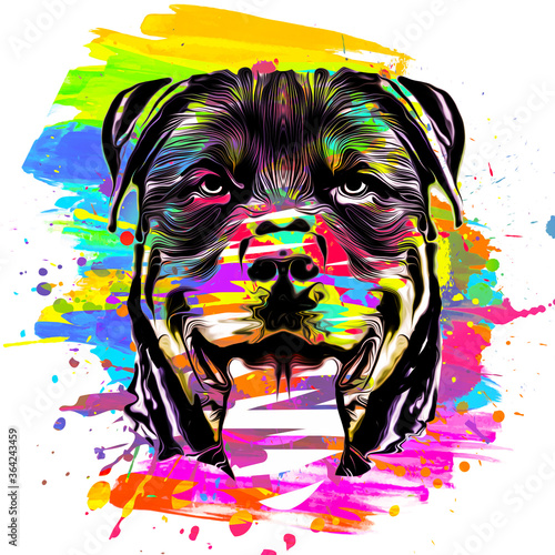 the head of dog rottweiler
