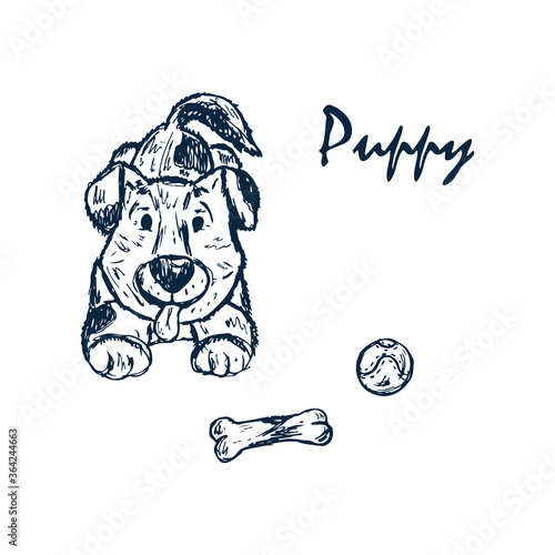 Dog. Puppy. Hand drawn doodle sketch - vector illustration
