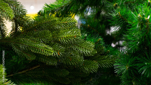 Artificial Christmas tree  green spruce branch with thin plastic needles  close-up background backdrop wallpaper design. Eco-friendly fake New Year spruce green color