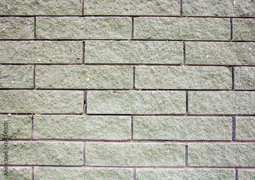 Textured light green printed brick wall in natural light