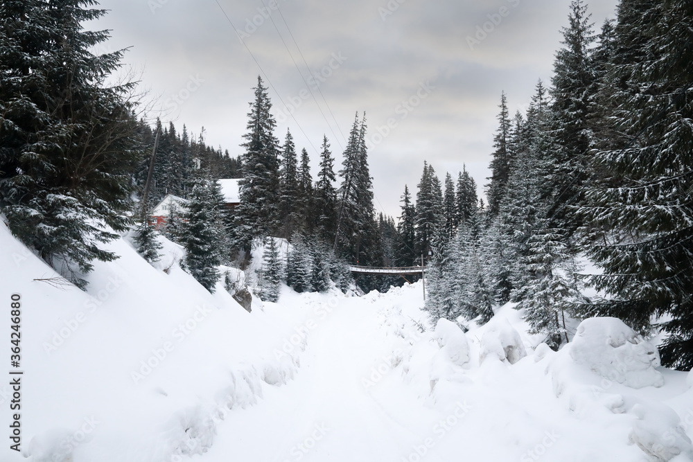 ski resort in winter