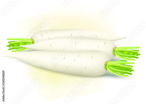 radish vector illustration on light brown background 