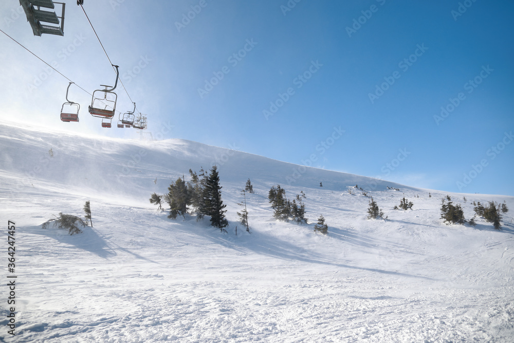alps, background, beautiful, beauty, blue, cloud, cold, color, cover, day, fir, forest, frost, frozen, glacier, hill, horizontal, ice, landscape, light, mountain, natural, nature, nobody, north, outdo alps, background, beautiful, beauty, blue, cloud, cold, color, cover, day, fir, forest, frost, frozen, glacier, hill, horizontal, ice, landscape, light, mountain, natural, nature, nobody, north, outdo