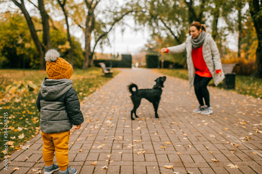 Obraz premium Young mother plays with her little child and their black dog in the big summer forest