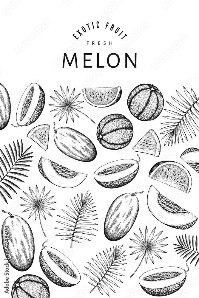 Fototapeta premium Watermelons, melons and tropical leaves design template. Hand drawn vector exotic fruit illustration. Engraved style fruit frame. Vintage botanical banner.