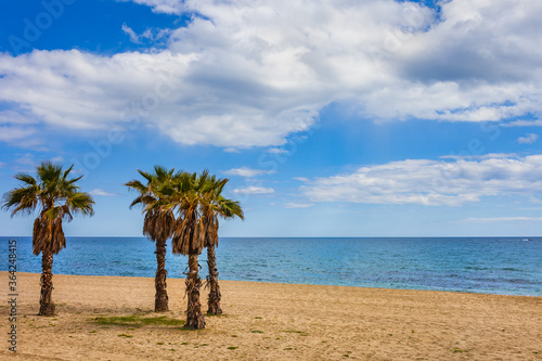 Empty Beach With Palm Trees And The Sea In Marballa, Spain