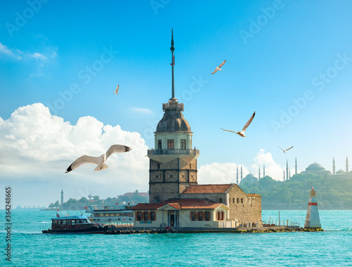 Seagulls near Maiden Tower photo