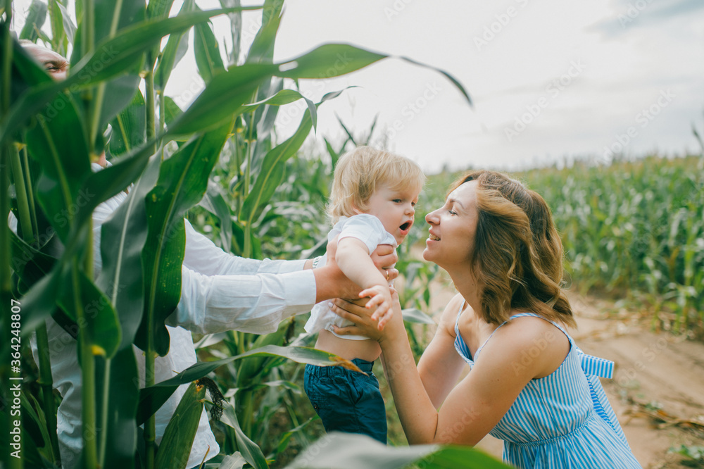 Obraz premium Picture of charming young caucasian woman with short hair in light blue dress relaxes with her little male baby with short fair hair in blue t-shirt and blue shorts in cornfield