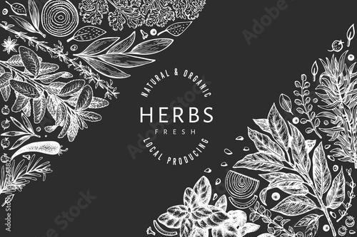 Culinary herbs banner template. Hand drawn vintage botanical illustration on chalk board. Engraved style. Retro food background.