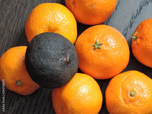 China mandarin stuffed with Show Pu-Erh photo