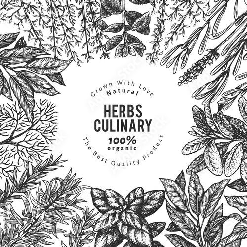 Culinary herbs banner template. Hand drawn vintage botanical illustration. Engraved style. Retro food background.