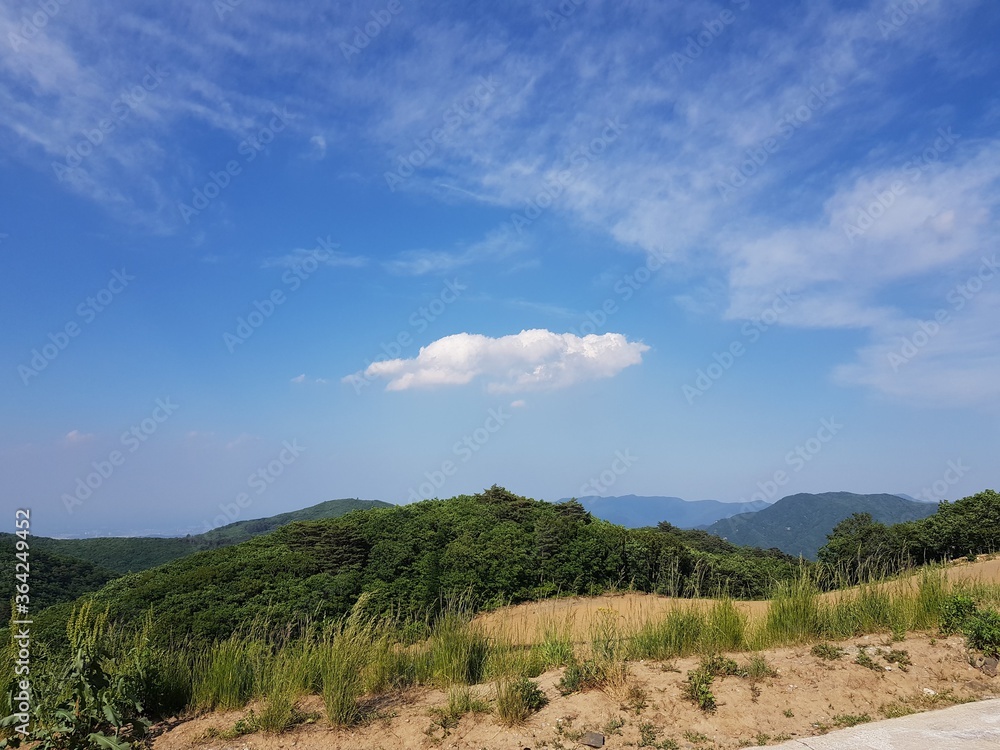 Fototapeta premium watch the cloud