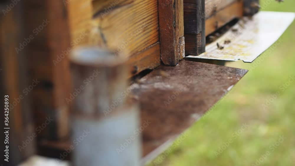 Row of wooden hives with flying swarm of bees. Busy worker bees enter their houses to collect flower pollen. Honey production. Apiculture. Nature. Row of wooden hives with flying swarm of bees. Busy worker bees enter their houses to collect flower pollen. Honey production. Apiculture. Nature.