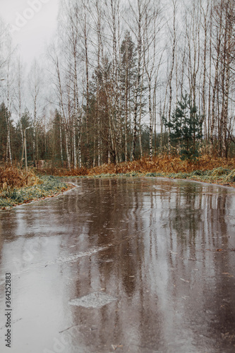 New, wet, black asphalt on the road in the Park. The track in the forest for sports has been renovated. Autumn. © Olga