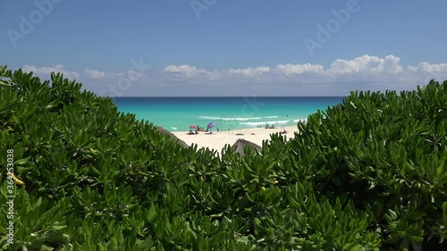 View of the Cancun Hotel Zone Beach through the beach shrub (Scaevola Taccada). Mexico photo