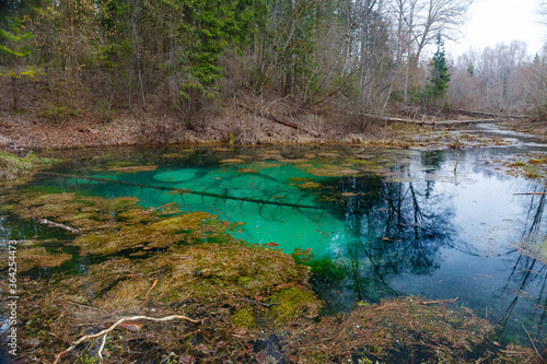 Saula blue springs pond (siniallikas). Tranquil blue and green grades of clear water and seaweed. © yegorov_nick