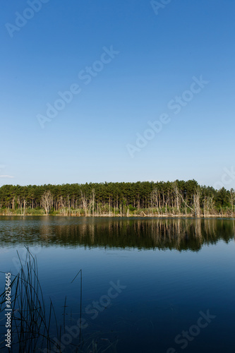 Landscape View Trees And Lake In Nature