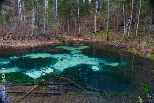 Saula blue springs pond (siniallikas). Tranquil blue and green grades of clear water and seaweed. photo