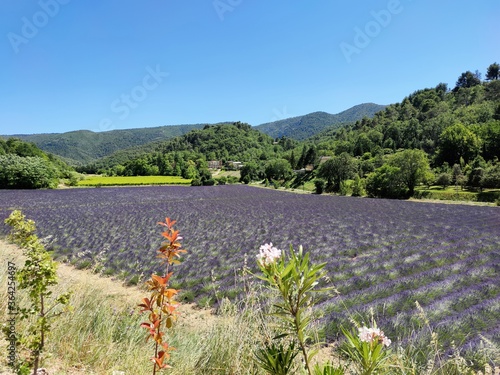 Balades en Provence - Ménerbes