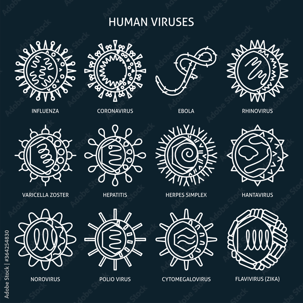 Virus types icon set in line style
