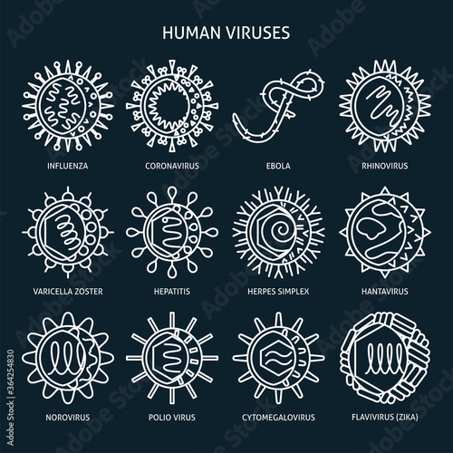 Virus types icon set in line style