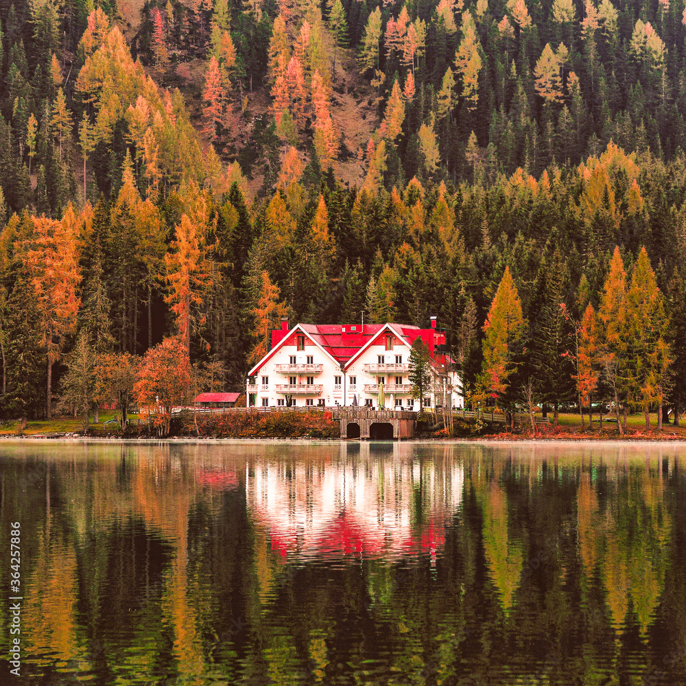 Fototapeta premium white and red house beside forest and body of water