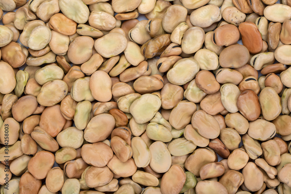 dried broad beans as background dried broad beans as background