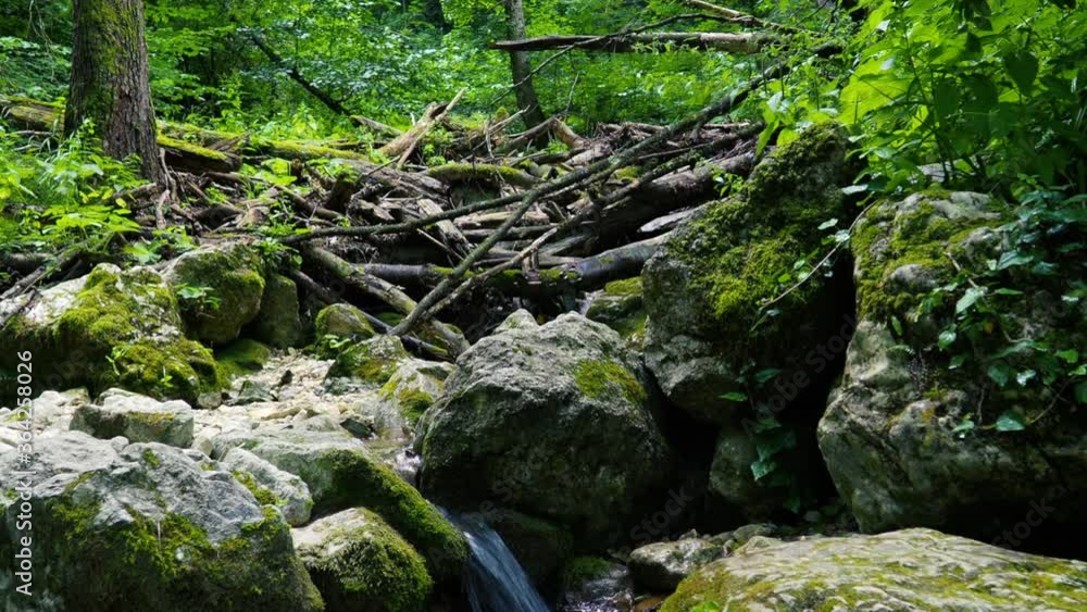 Static shooting of a beautiful stream running through moss-covered stones
Static shooting of a beautiful stream running through moss-covered stones