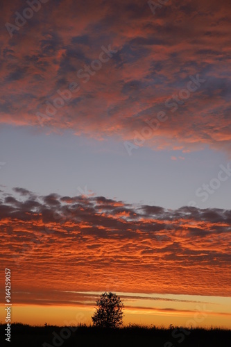 sunset in the desert