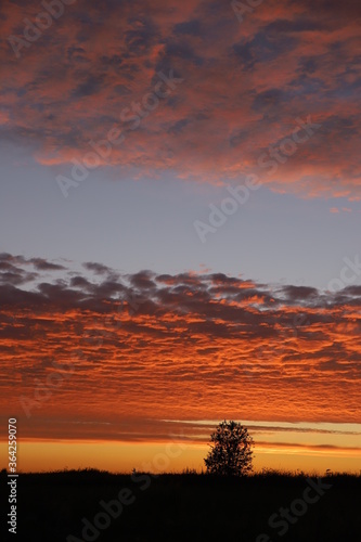 sunset over the field