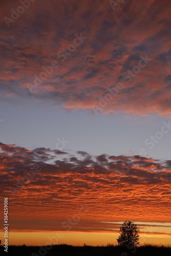 sunset in the field