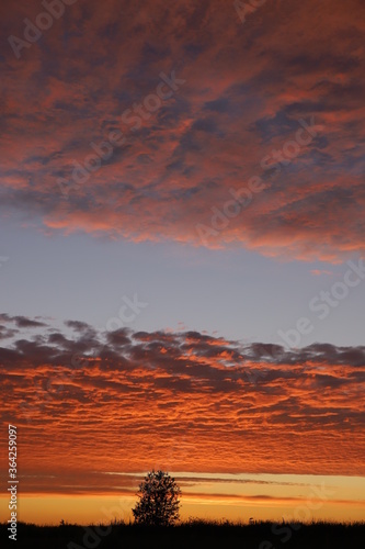 sunset over the field