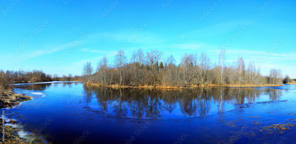 Reflection of a beautiful forest in a spring river