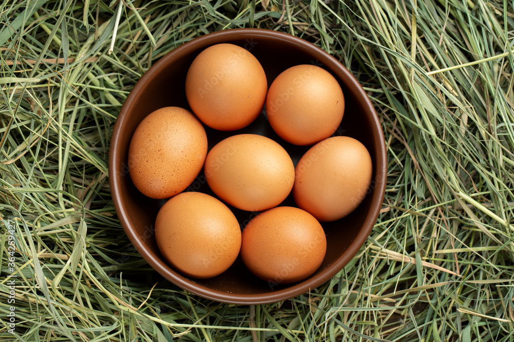 Plate with chicken eggs in the hay. Plate with chicken eggs in the hay.