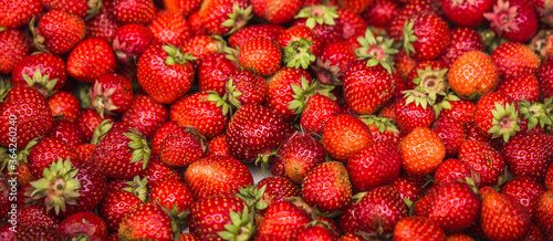 Strawberry close up. Berry background.