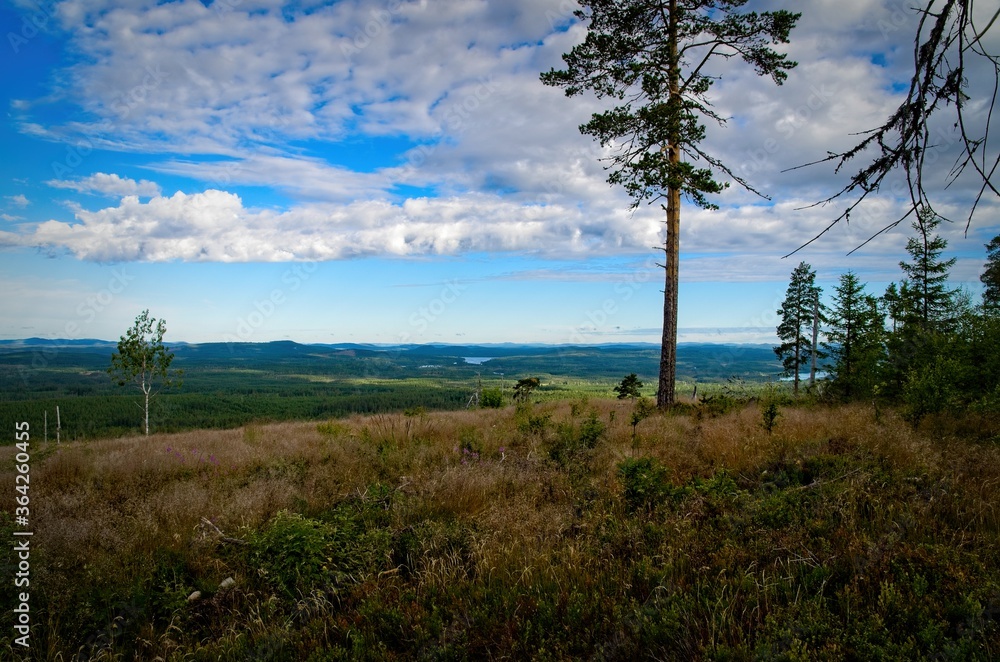 Beautiful and prestine lakes and forests are a part of the nature of Dalarna in Sweden. Beautiful and prestine lakes and forests are a part of the nature of Dalarna in Sweden.
