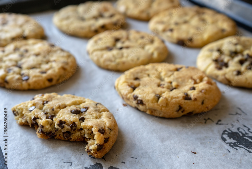 fresh baked classic chocolate chip cookies with nuts on the oven-tray fresh baked classic chocolate chip cookies with nuts on the oven-tray
