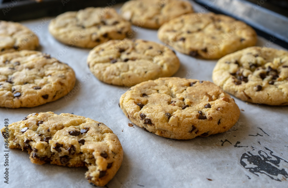 fresh baked classic chocolate chip cookies with nuts on the oven-tray