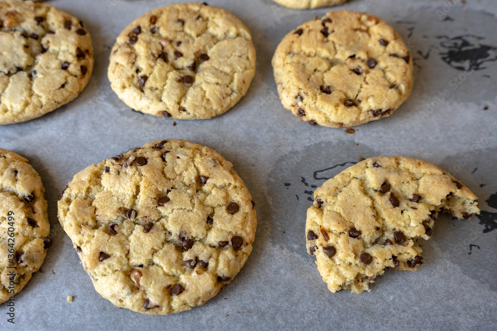 fresh baked classic chocolate chip cookies with nuts on the oven-tray fresh baked classic chocolate chip cookies with nuts on the oven-tray